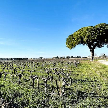 Les Appartements Du Mas - Emeraude Aigues-Mortes Bagian luar foto